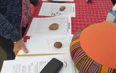 Weekend inscriptions aux forum des associations de Chalamont et Meximieux