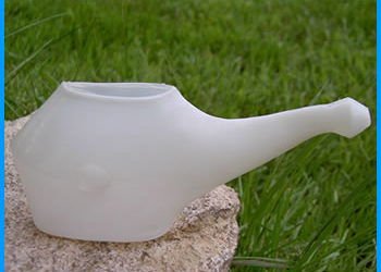 Ressources complémentaires : nettoyages et immunité