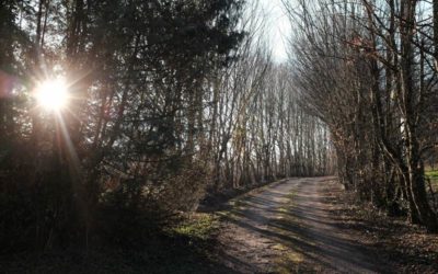 29 novembre : stage pour accueillir l’hiver (en visio)