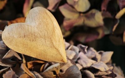 Ressources complémentaires : vibrer la gratitude N°2