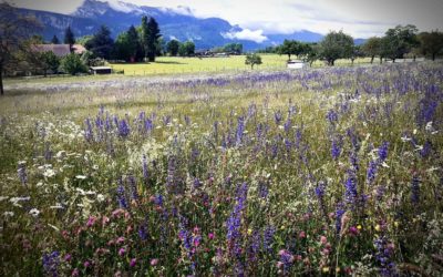 Séance n°27 : le demi arc – confiance en soi – anti déprime