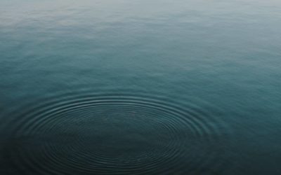 n°28 : torsion assise / la transformation