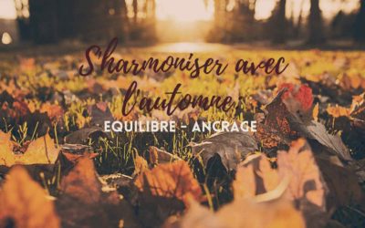 S’harmoniser avec l’automne : équilibre + ancrage