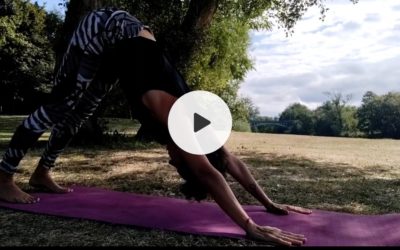 Nouvelle vidéo : le yoga pour rafraichir